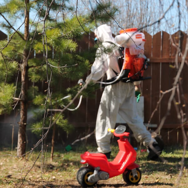 Обработка участка от клещей в Великом Новгороде?
